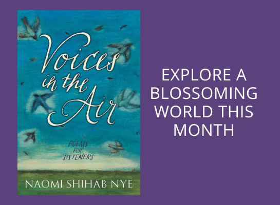 teen book list recommended by staff for month of april. image of voices in the air